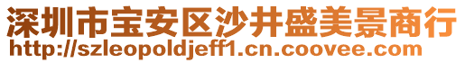 深圳市寶安區(qū)沙井盛美景商行