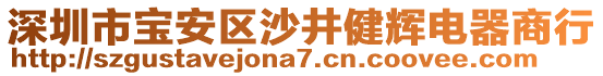 深圳市寶安區(qū)沙井健輝電器商行