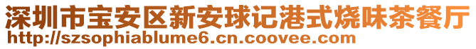 深圳市寶安區新安球記港式燒味茶餐廳