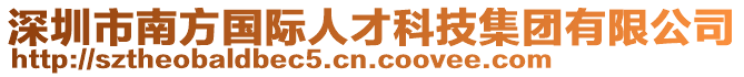 深圳市南方國際人才科技集團有限公司