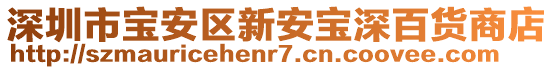 深圳市寶安區新安寶深百貨商店