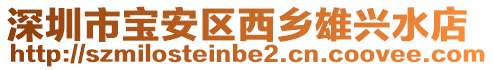 深圳市寶安區西鄉雄興水店