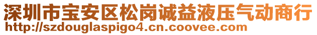 深圳市寶安區(qū)松崗誠益液壓氣動商行