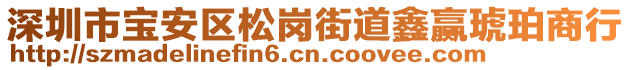 深圳市寶安區(qū)松崗街道鑫贏琥珀商行