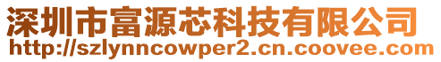 深圳市富源芯科技有限公司