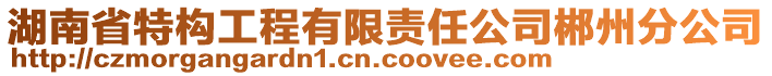 湖南省特構(gòu)工程有限責任公司郴州分公司