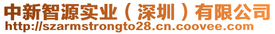 中新智源實業(yè)（深圳）有限公司