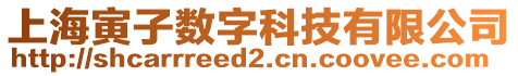 上海寅子數字科技有限公司