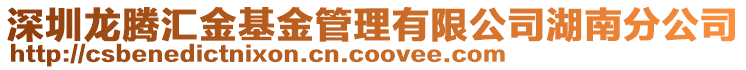 深圳龍騰匯金基金管理有限公司湖南分公司