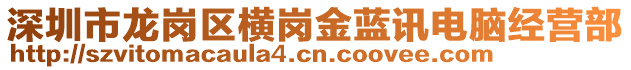 深圳市龍崗區橫崗金藍訊電腦經營部