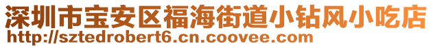 深圳市寶安區(qū)福海街道小鉆風(fēng)小吃店