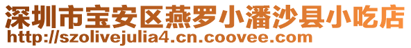 深圳市寶安區(qū)燕羅小潘沙縣小吃店