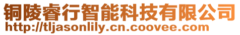 銅陵睿行智能科技有限公司
