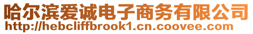 哈爾濱愛誠電子商務有限公司