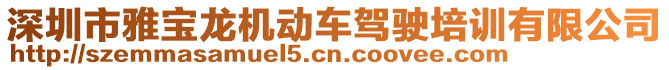 深圳市雅寶龍機(jī)動車駕駛培訓(xùn)有限公司