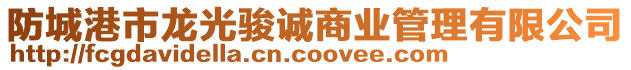 防城港市龍光駿誠商業(yè)管理有限公司