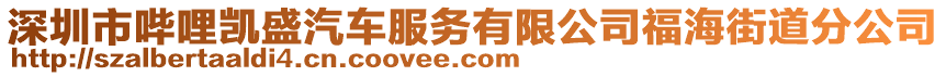 深圳市嗶哩凱盛汽車服務(wù)有限公司福海街道分公司