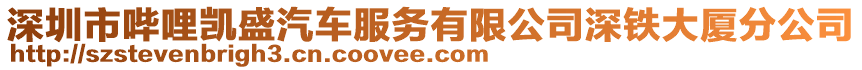 深圳市哔哩凯盛汽车服务有限公司深铁大厦分公司