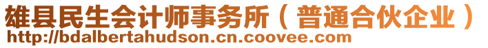 雄縣民生會計師事務(wù)所（普通合伙企業(yè)）