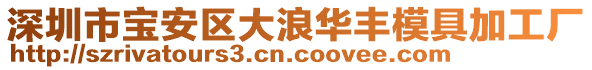 深圳市寶安區(qū)大浪華豐模具加工廠