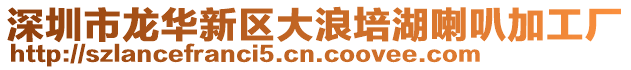 深圳市龍華新區(qū)大浪培湖喇叭加工廠