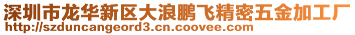 深圳市龍華新區(qū)大浪鵬飛精密五金加工廠