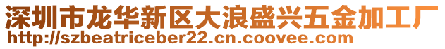 深圳市龍華新區(qū)大浪盛興五金加工廠