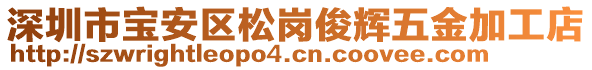 深圳市寶安區(qū)松崗俊輝五金加工店