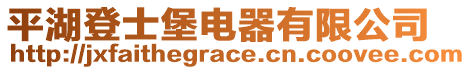 平湖登士堡電器有限公司