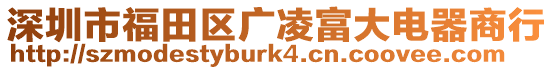 深圳市福田區(qū)廣凌富大電器商行
