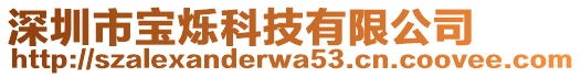 深圳市寶爍科技有限公司