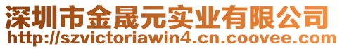 深圳市金晟元實業有限公司