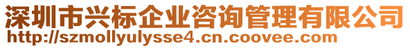 深圳市興標企業咨詢管理有限公司