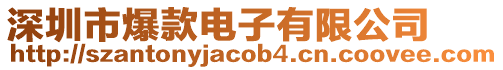 深圳市爆款電子有限公司