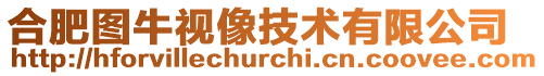 合肥圖牛視像技術(shù)有限公司