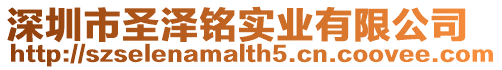 深圳市圣澤銘實業有限公司