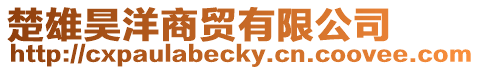楚雄昊洋商貿有限公司