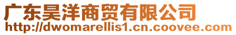 廣東昊洋商貿有限公司