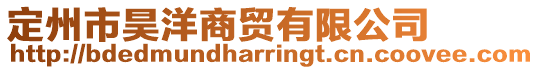 定州市昊洋商貿有限公司