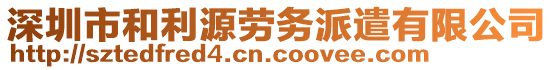 深圳市和利源勞務(wù)派遣有限公司
