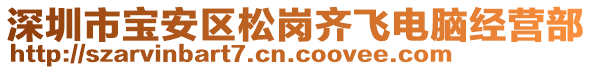 深圳市寶安區(qū)松崗齊飛電腦經(jīng)營部