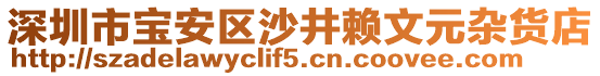 深圳市寶安區(qū)沙井賴文元雜貨店