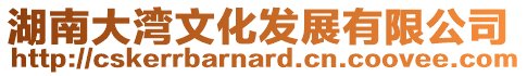 湖南大灣文化發(fā)展有限公司