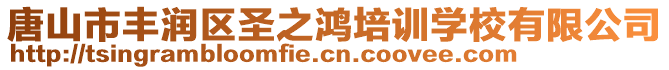 唐山市豐潤(rùn)區(qū)圣之鴻培訓(xùn)學(xué)校有限公司