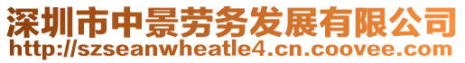 深圳市中景勞務(wù)發(fā)展有限公司