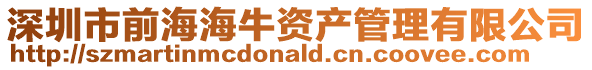 深圳市前海海牛資產(chǎn)管理有限公司