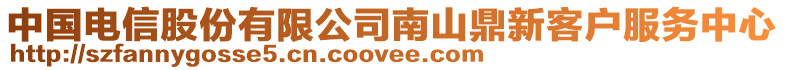 中國電信股份有限公司南山鼎新客戶服務中心