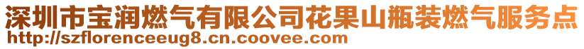 深圳市寶潤(rùn)燃?xì)庥邢薰净ü狡垦b燃?xì)夥?wù)點(diǎn)