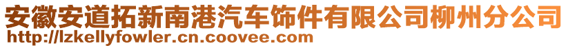 安徽安道拓新南港汽車飾件有限公司柳州分公司