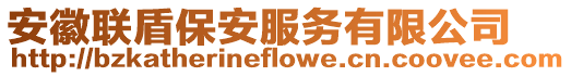 安徽聯盾保安服務有限公司